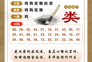 131期香港彩九肖30码中特