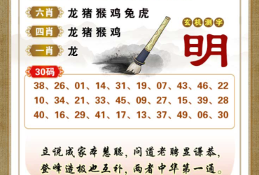 2025077期香港彩九肖30码中特